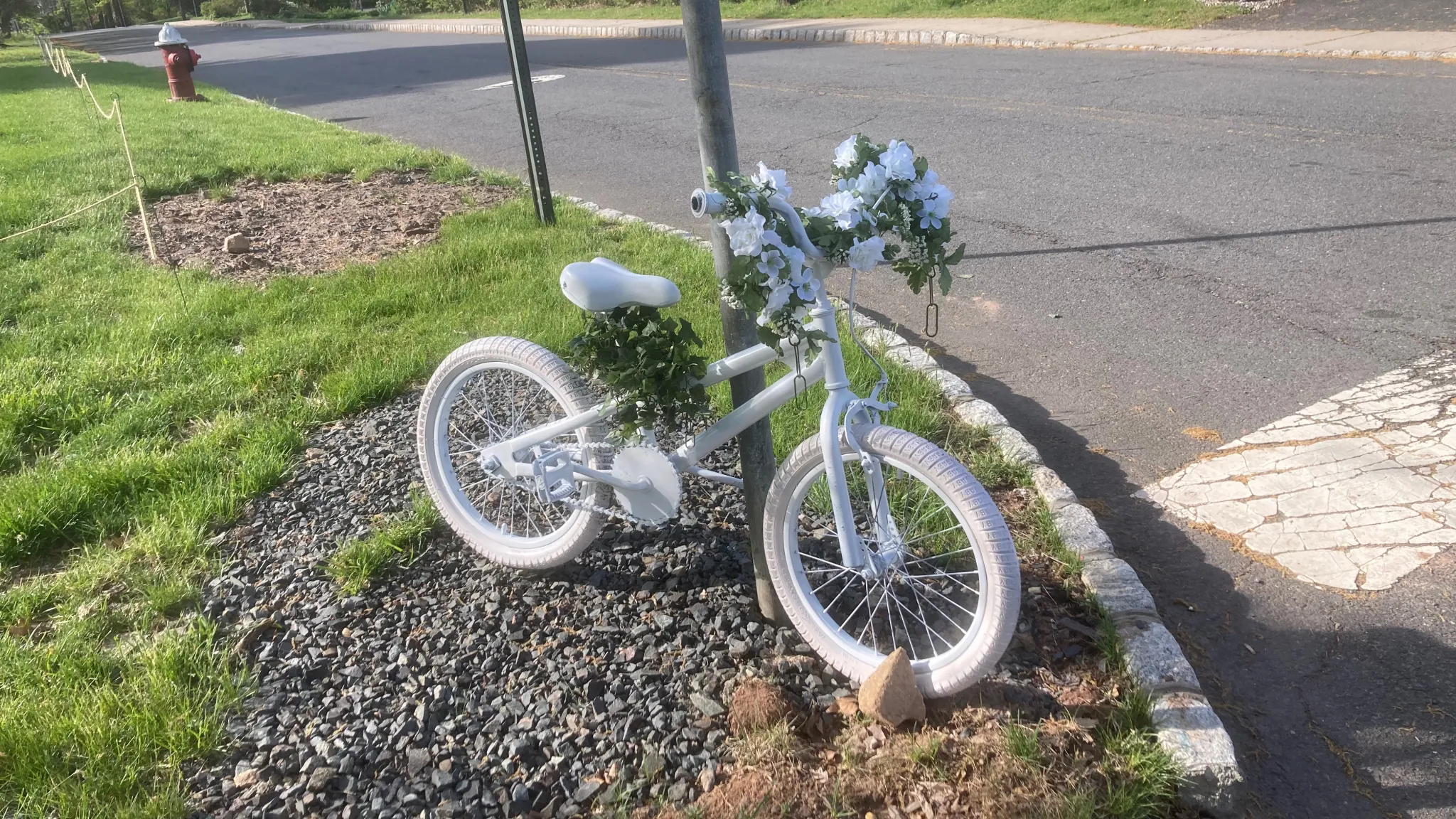 A Tragic Loss and a Call for Safer Streets in Princeton
